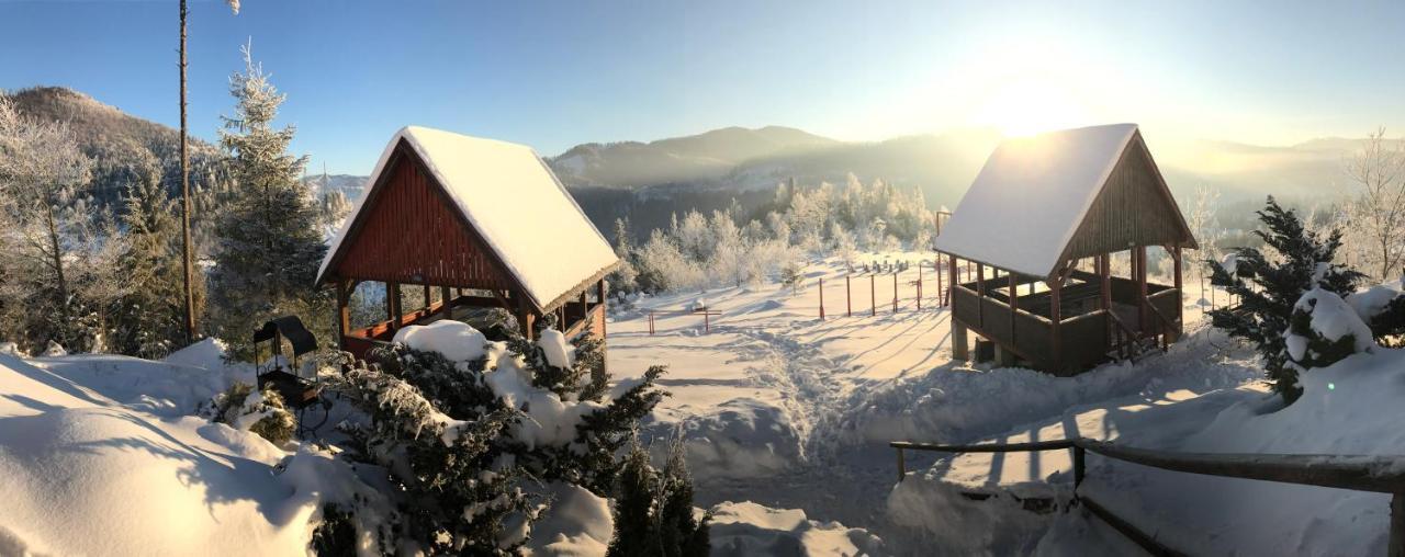 Карпатський Затишок Hotel Slavske Exterior photo